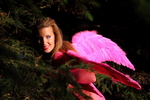 Never Hunt a Fairy